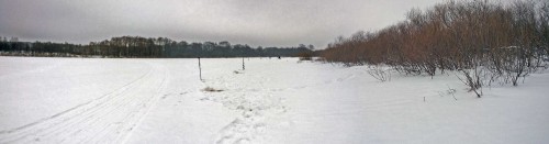 Ryb_11.01.2017-1.jpg