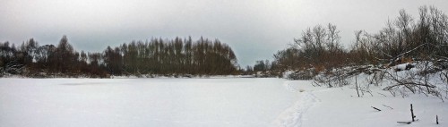 Ryb_11.01.2017-3.jpg