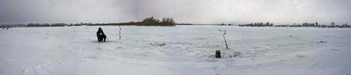 Ryb_13.01.2017-1.jpg