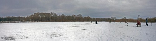 Ryb_15.01.2017-2.jpg