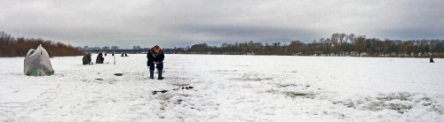 Ryb_15.01.2017-3.jpg