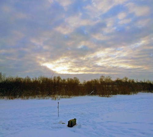 Ryb_18.01.2017-1.jpg