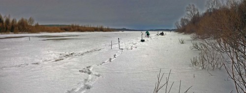 Ryb_20.01.2017-1.jpg