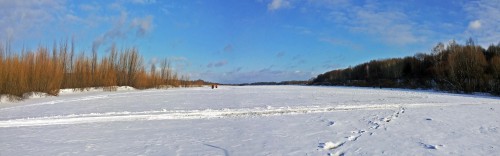 Ryb_20.01.2017-2.jpg