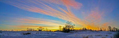 Ryb_23.01.2017-1.jpg