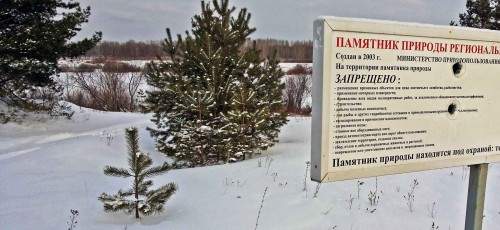 Ryb_25.01.2017-1.jpg