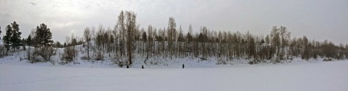 Ryb_25.01.2017-2.jpg