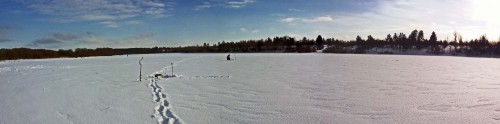 Ryb_25.01.2017-3.jpg