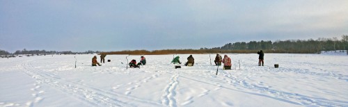 Ryb_01.02.2017-1.jpg