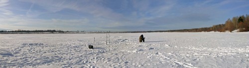 Ryb_03.02.2017-3.jpg