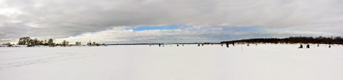 Ryb_16.02.2017-1.jpg