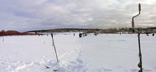 Ryb_16.02.2017-2.jpg