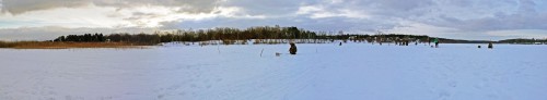Ryb_19.02.2017-2.jpg