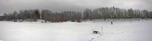 Ryb_23.02.2017-1.jpg