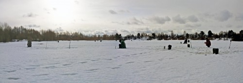 Ryb_25.02.2017-1.jpg