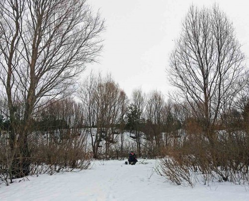Ryb_25.02.2017-2.jpg