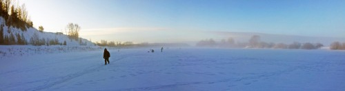 Ryb_28.02.2017-1.jpg