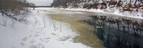 Ryb_02.03.2017-1.jpg