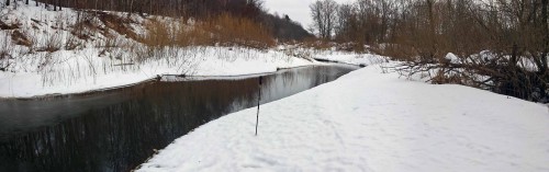 Ryb_02.03.2017-2.jpg