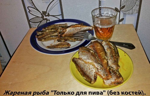 T-pivo_2017-03-03.jpg