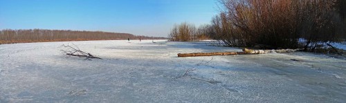 Ryb_15.03.2017-2.jpg