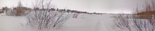 Zaton_29012011.jpg