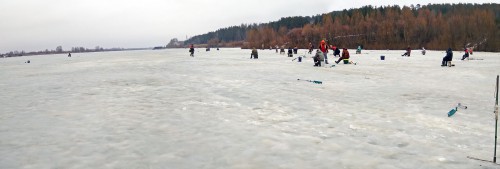 Ryb_18.03.2017-2.jpg
