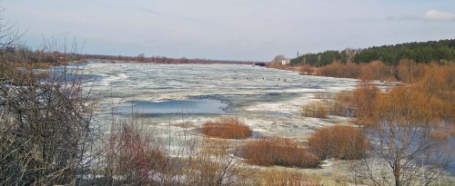 Ryb_21.03.2017-6.jpg