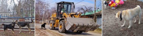 Ryb_21.03.2017-9.jpg