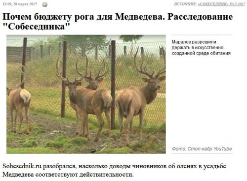 Roga.JPG