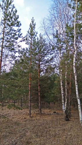 Ryb_08.04.2017-2.jpg