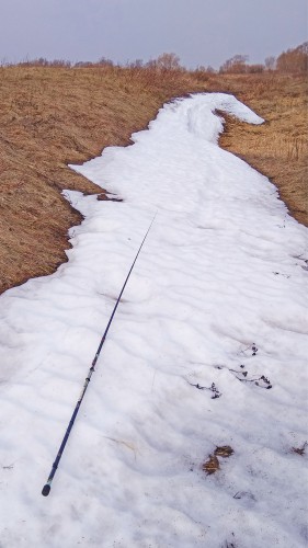 Ryb_08.04.2017-4.jpg
