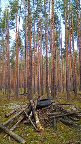 Ryb_19.05.2017-2.jpg