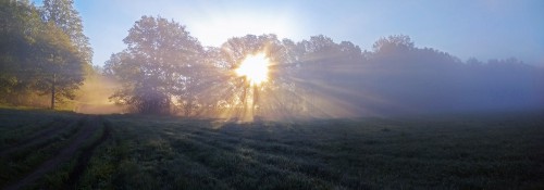 Ryb_23.05.2017-1.jpg