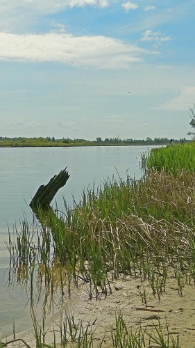 Ryb_25.05.2017-1.jpg