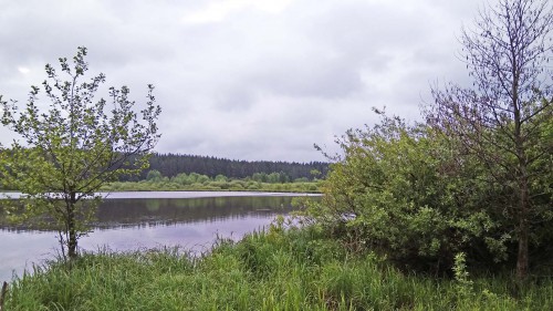 Ryb_06.06.2017-3.jpg