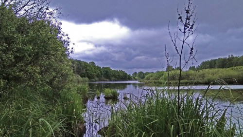 Ryb_06.06.2017-4.jpg