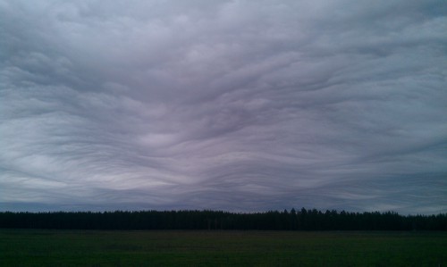 IMAG0675.jpg