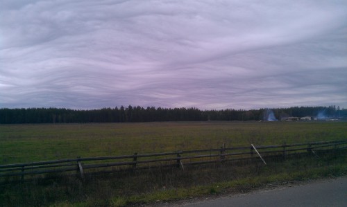 IMAG0676.jpg