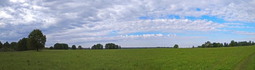 Ryb_08.06.2017-1.jpg