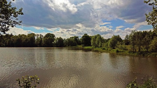 Ryb_08.06.2017-3.jpg