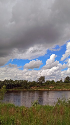 Ryb_14.06.2017-4.jpg