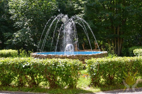 DSC_0103.JPG