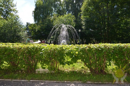 DSC_0105.JPG