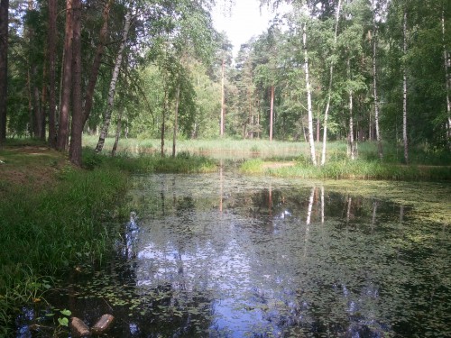 IMG_20-07-2017_101332.jpg