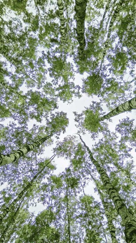 Les_02.08.2017-1.jpg