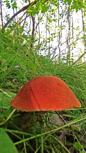Les_10.08.2017-1.jpg