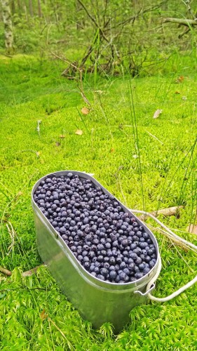 Les_11.08.2017-4.jpg