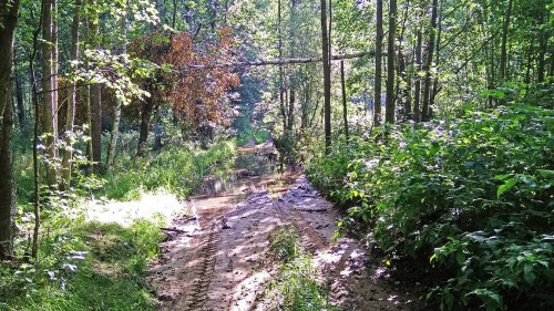 Les_12.08.2017-1.jpg