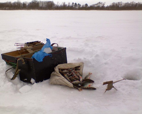 Shimrsk_Oka_05032011.jpg